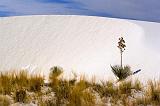 White Sands_31998